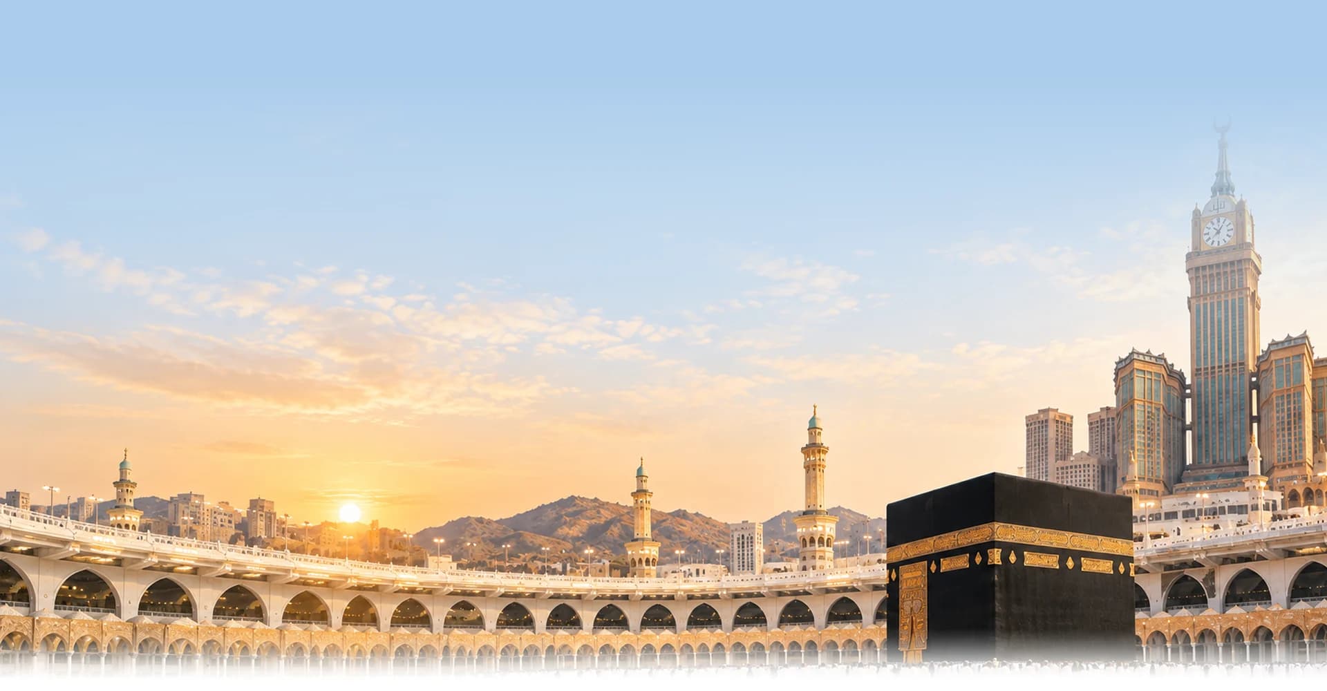 Decorative background for legal and policy pages